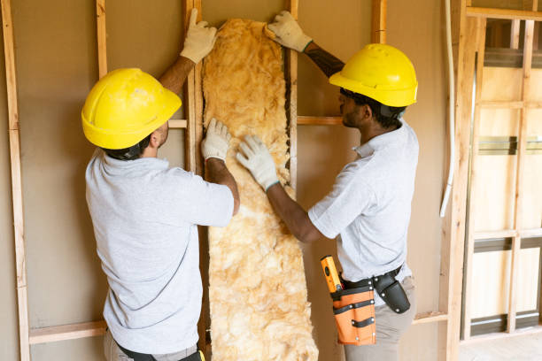 Best Local Insulation Services  in Anderson, IN